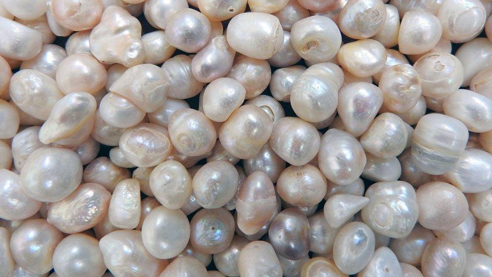 Mother of Pearl vs. Pearl: Understanding the Difference