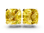 Cushion Cut Yellow Sapphire Stud Earrings in Yellow gold with Basket Setting