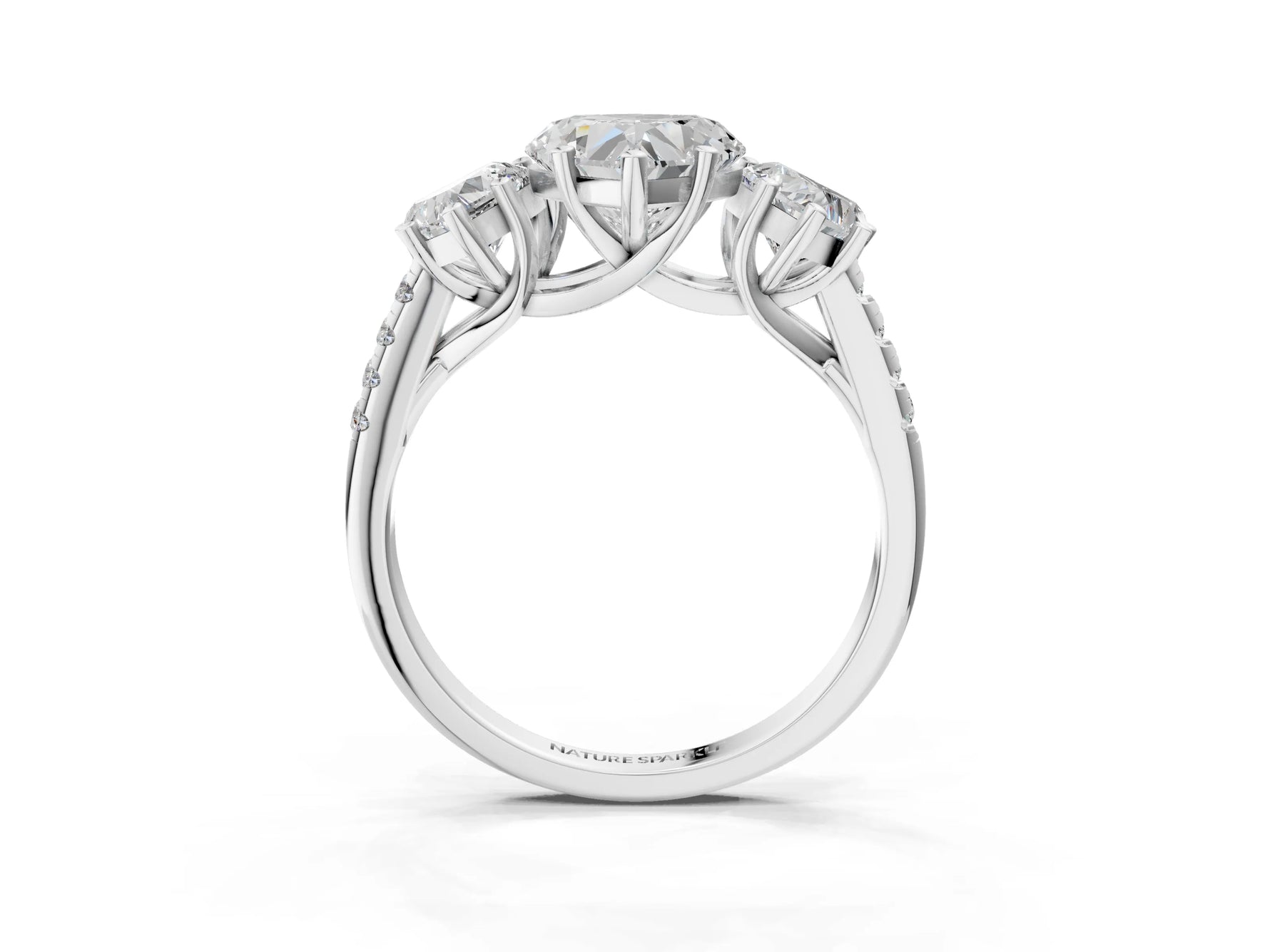 Heart Cut Diamond Trellis Three-Stone Engagement Ring in White gold with Round Side Stones_39