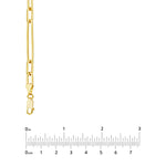 3+1 Hollow Paper Clip Chain with Lobster Lock