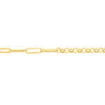 50/50 Paperclip + Rolo Chain with Lobster Lock