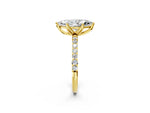 Marquise Cut Diamond Solitaire Ring in Yellow gold with Round Shared Prong Pavé Band_20