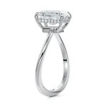 NS-2161-4-10-2