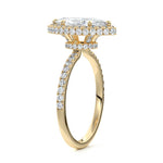NS-2210-2-3-2