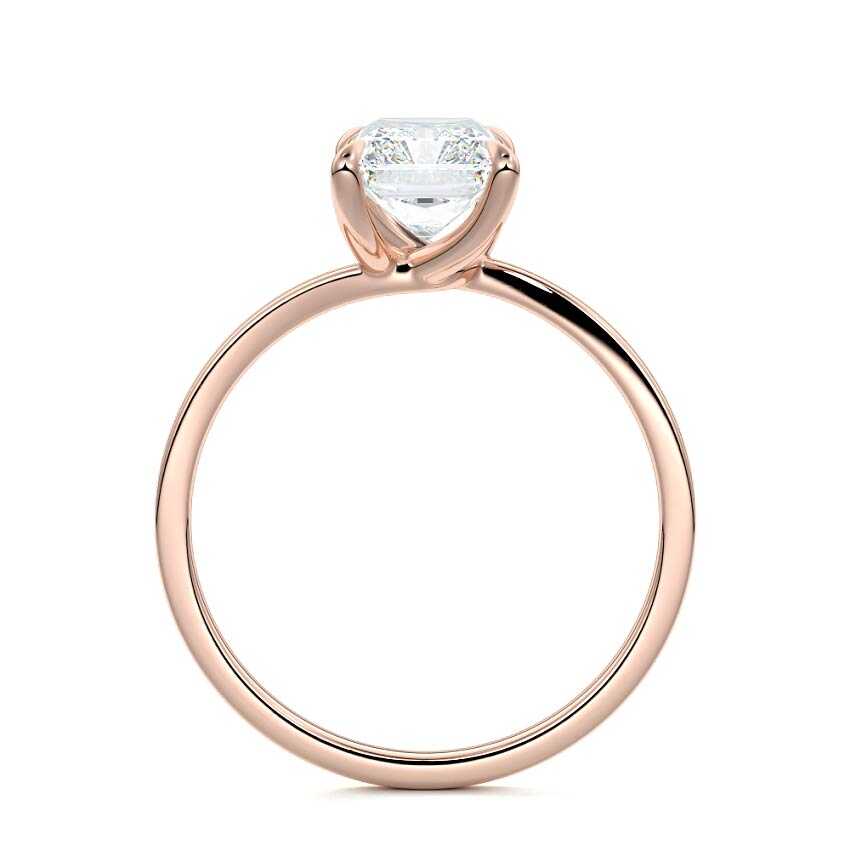 NS-2221-1-10-3