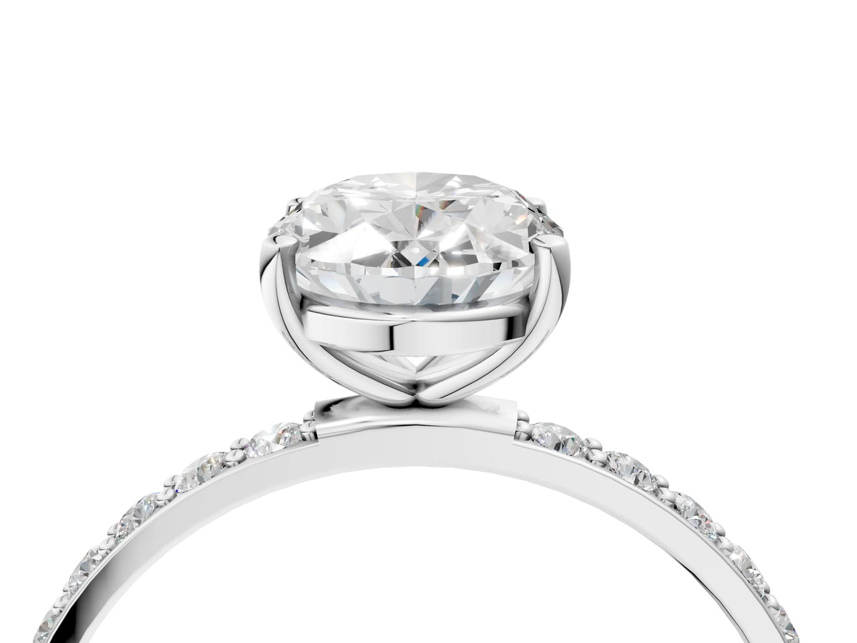 Oval Cut Diamond Pavé Band Solitaire Ring in White gold with Round Accents_28