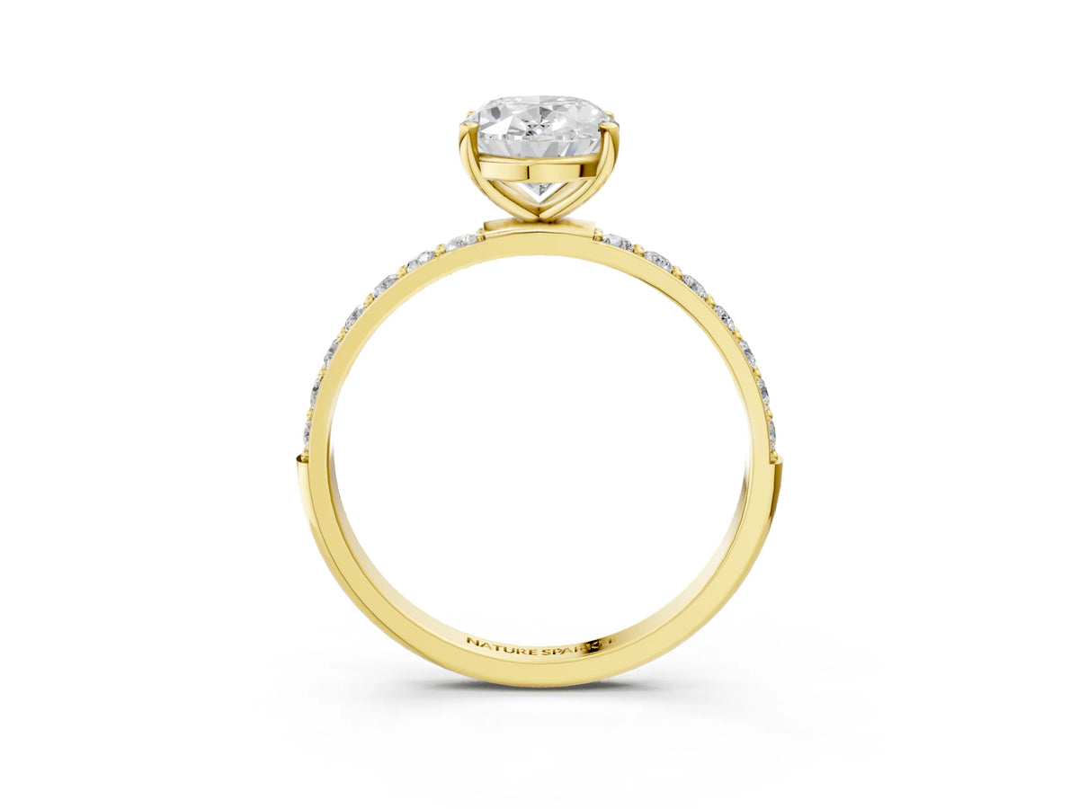 Oval Cut Diamond Pavé Band Solitaire Ring in Yellow gold with Round Accents_27