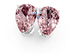 Pear Cut Morganite Stud Earrings in White gold with Basket Setting_1