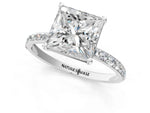 Princess Cut Diamond Pavé Band Solitaire Ring in White gold with Round Accents_25