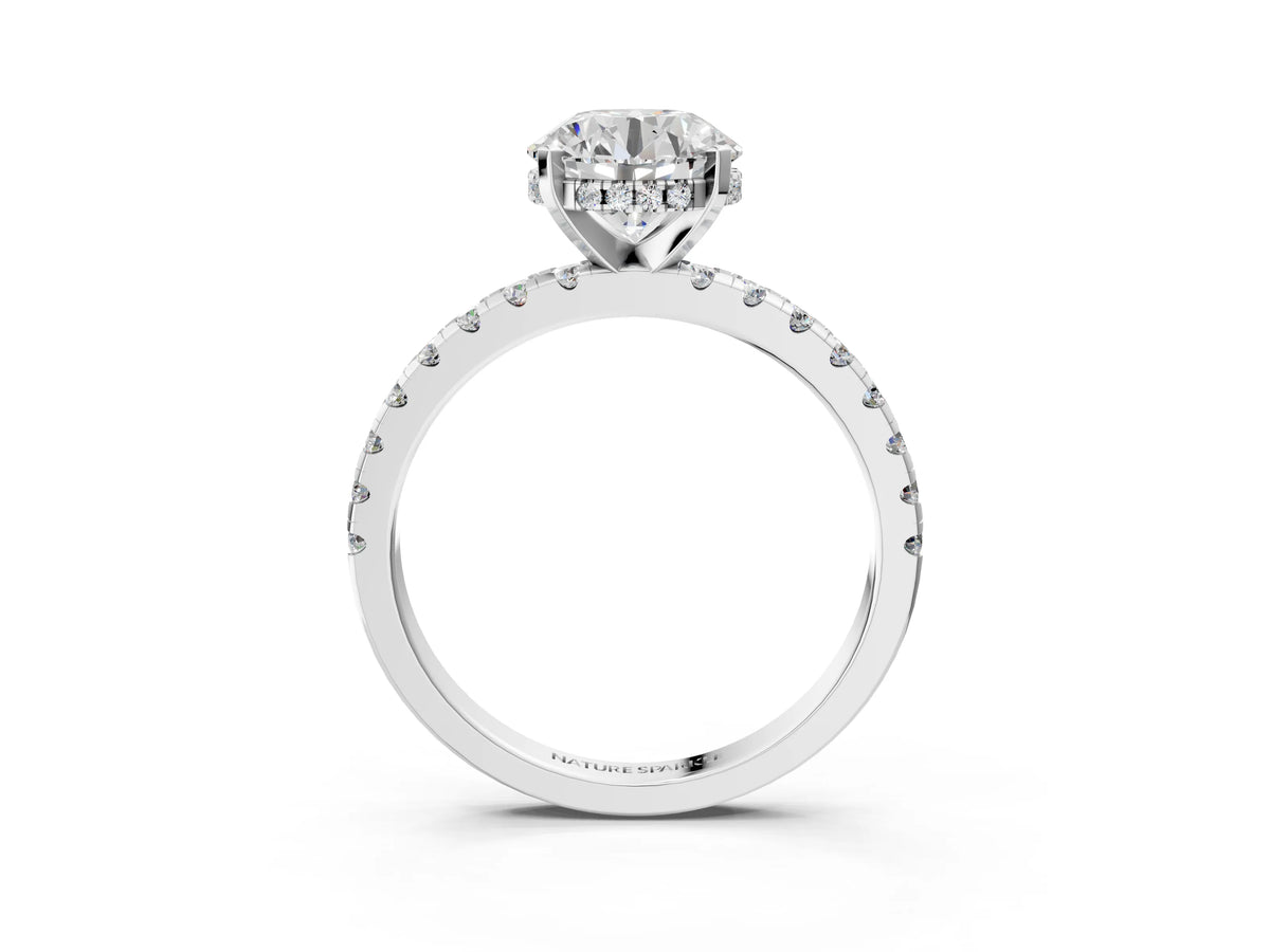 Round Cut Diamond Hidden Halo Solitaire Ring in White gold with Round Pavé Band and Prong Setting_111