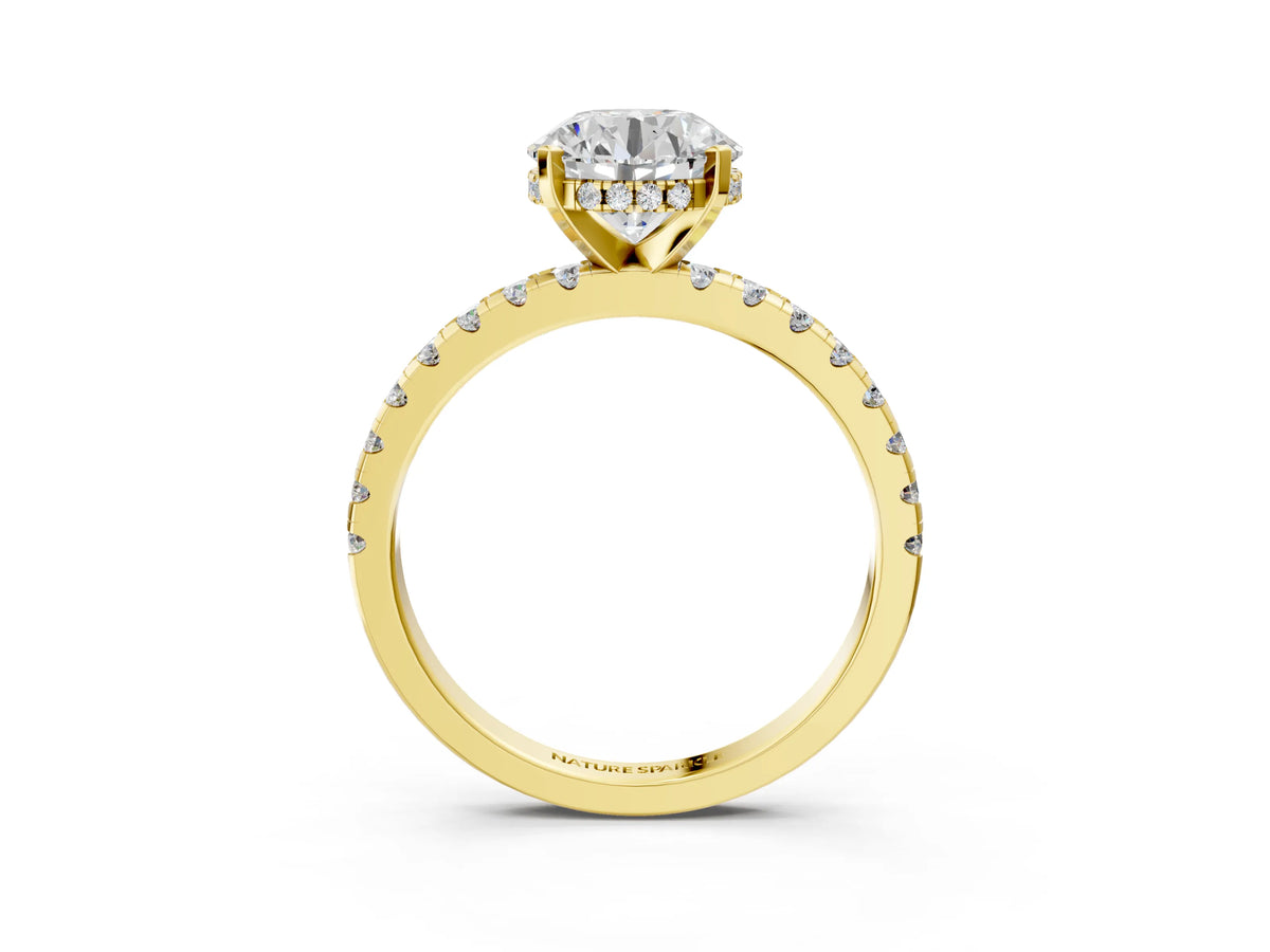 Round Cut Diamond Hidden Halo Solitaire Ring in Yellow gold with Round Pavé Band and Prong Setting_111