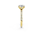 Round Cut Diamond Pavé Band Solitaire Ring in Yellow gold with Round Accents_38