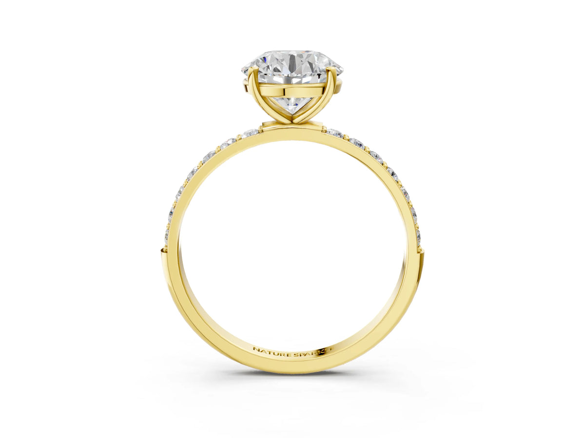 Round Cut Diamond Pavé Band Solitaire Ring in Yellow gold with Round Accents_39