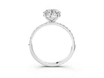 Round Cut Diamond Solitaire Ring in White gold with Round Pavé Band_27