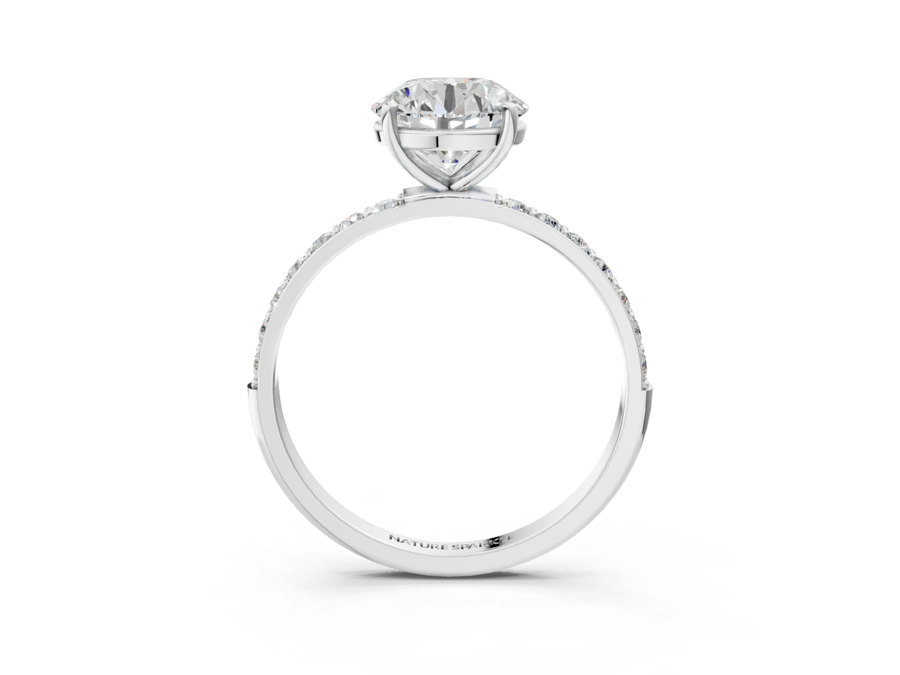 Round Cut Diamond Solitaire Ring in White gold with Round Pavé Band_3