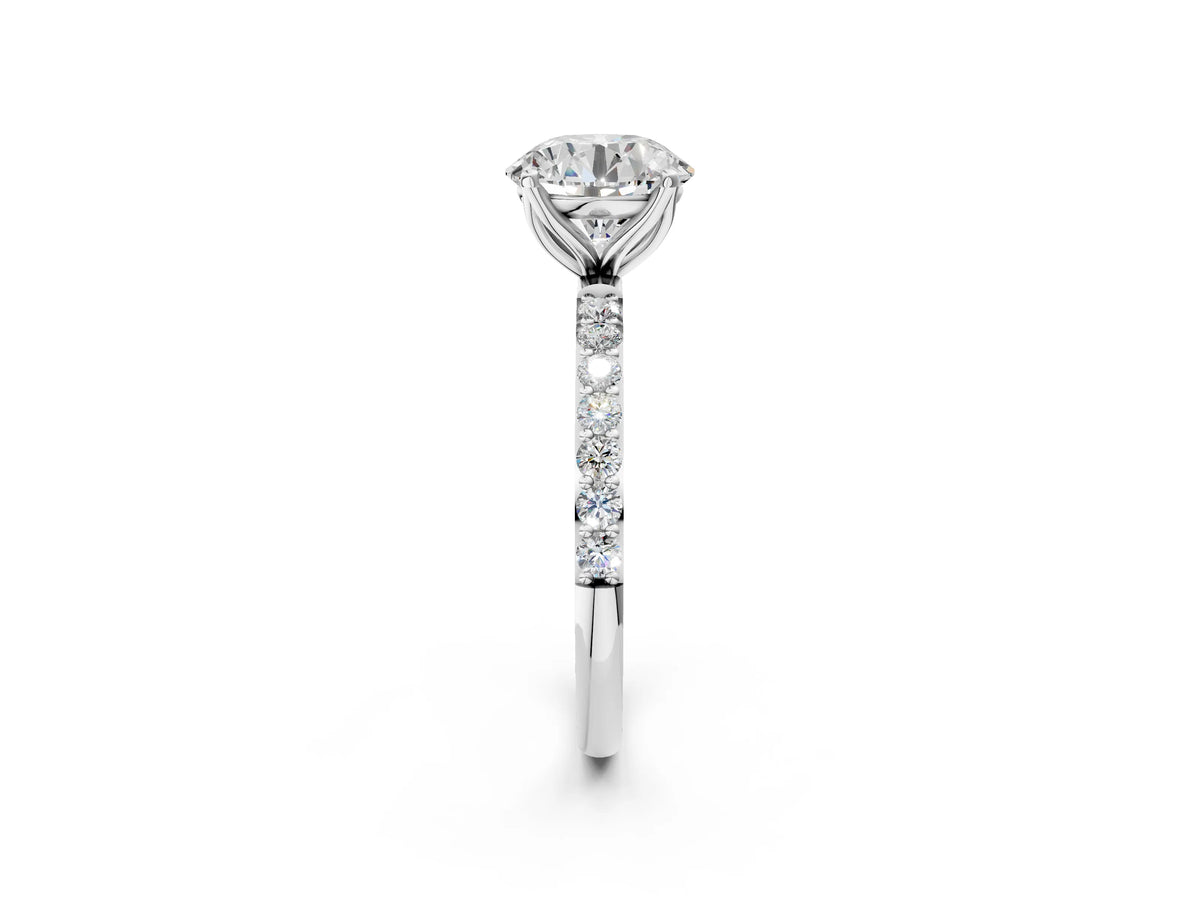 Round Cut Diamond Solitaire Ring in White gold with Round Shared Prong Pavé Band_14