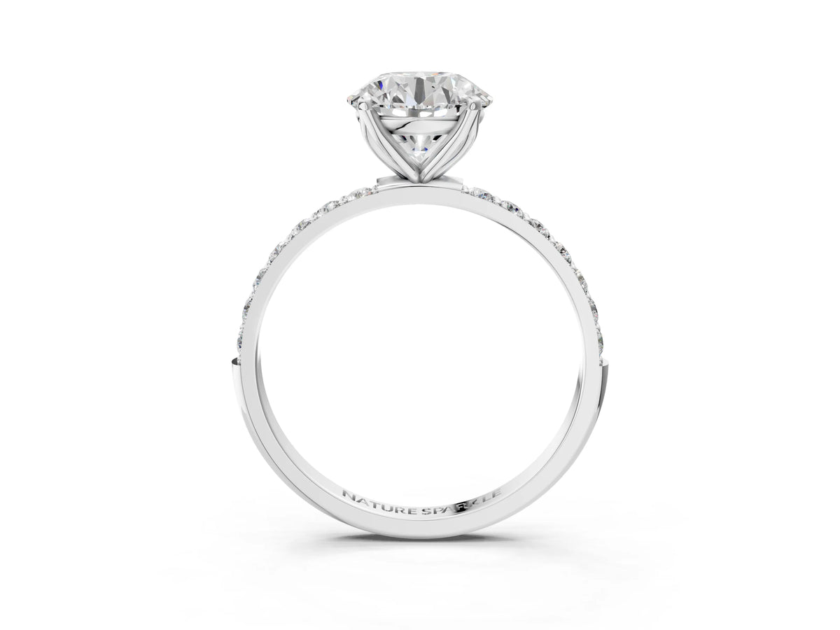 Round Cut Diamond Solitaire Ring in White gold with Round Shared Prong Pavé Band_15