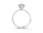 Round Cut Diamond Solitaire Ring in White gold with Round Shared Prong Pavé Band_15