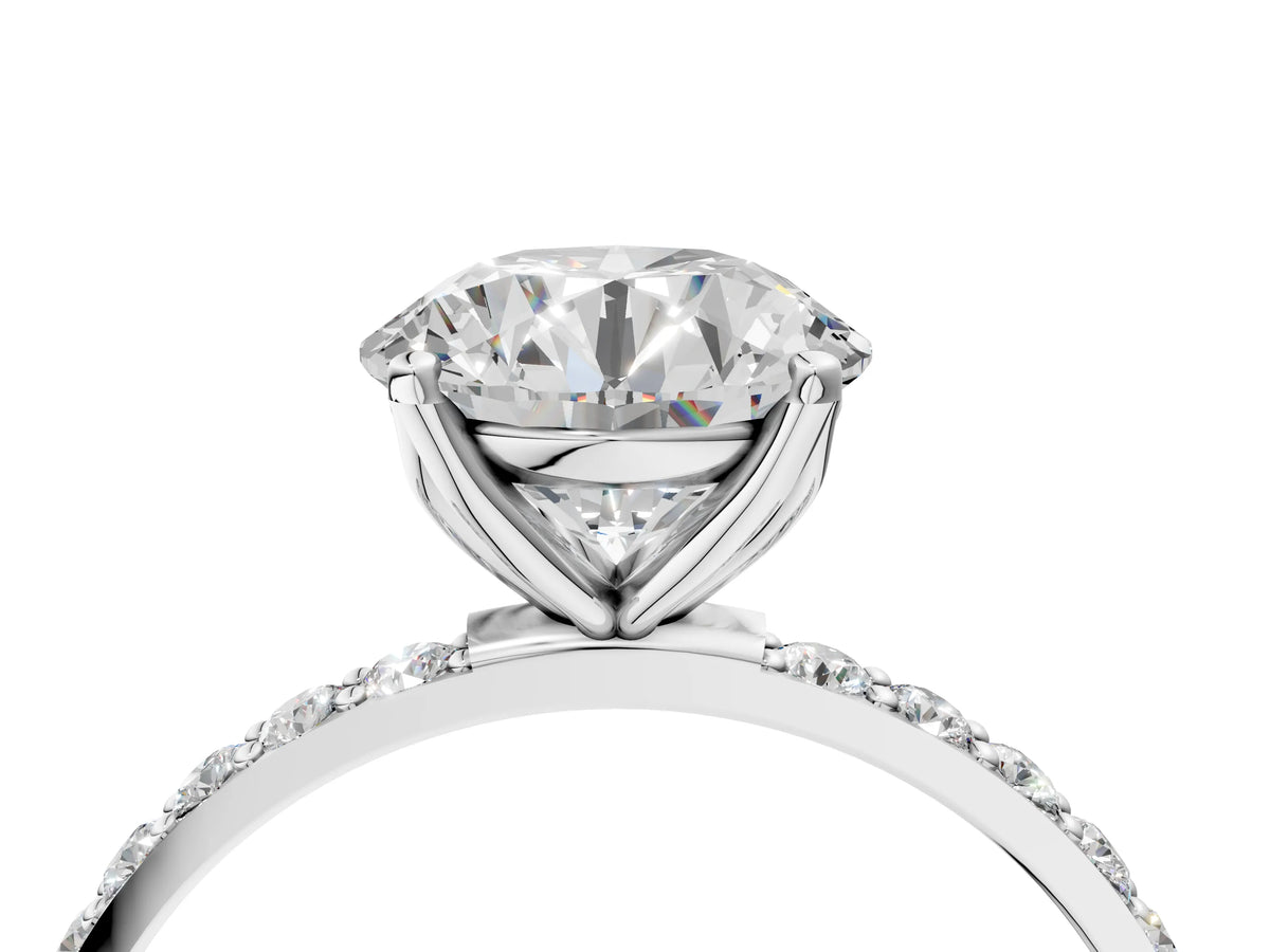 Round Cut Diamond Solitaire Ring in White gold with Round Shared Prong Pavé Band_16