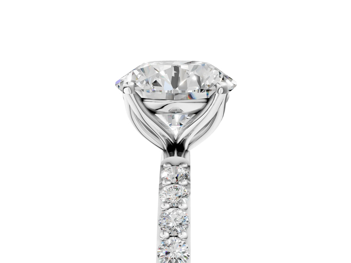 Round Cut Diamond Solitaire Ring in White gold with Round Shared Prong Pavé Band_17