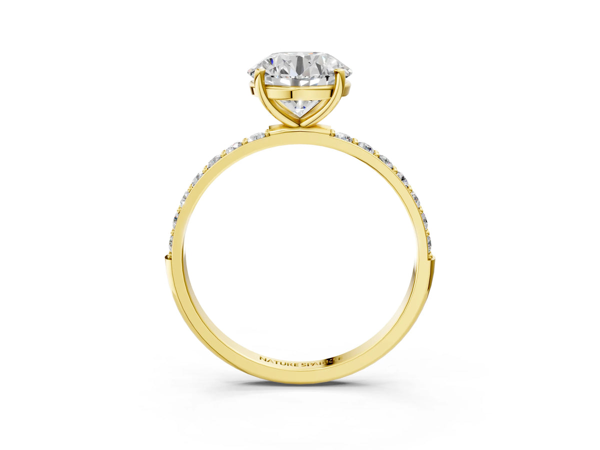 Round Cut Diamond Solitaire Ring in Yellow gold with Round Pavé Band_27
