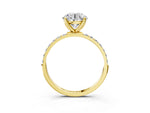 Round Cut Diamond Solitaire Ring in Yellow gold with Round Shared Prong Pavé Band_15