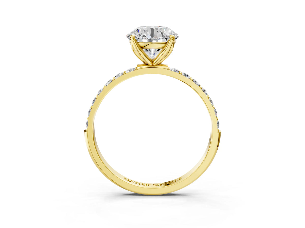 Round Cut Diamond Solitaire Ring in Yellow gold with Round Shared Prong Pavé Band_15
