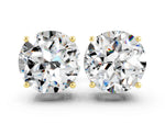 Round Cut Moissanite Stud Earrings in Yellow gold with Basket Setting