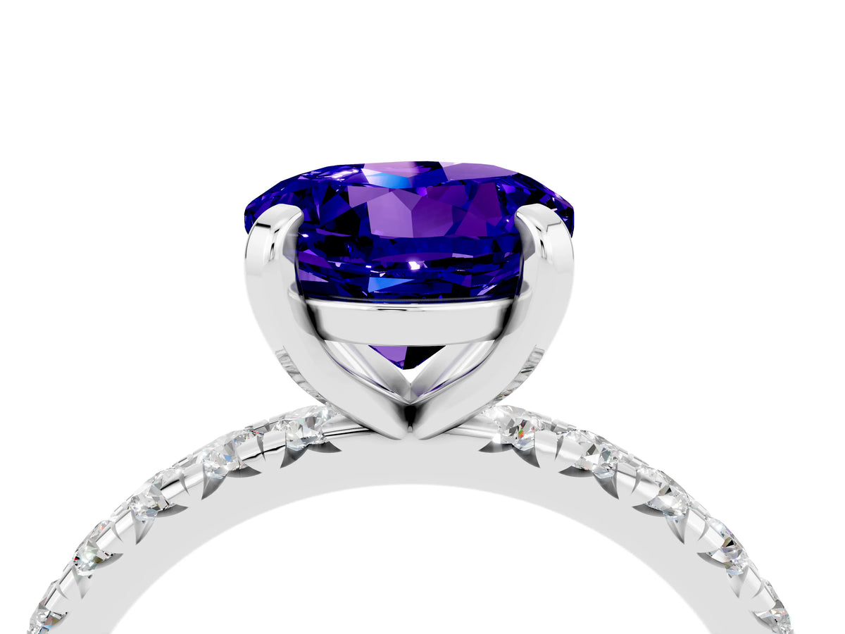 Round Cut Tanzanite Pavé Solitaire Ring in White gold with Round Pavé Band and Prong Setting_4