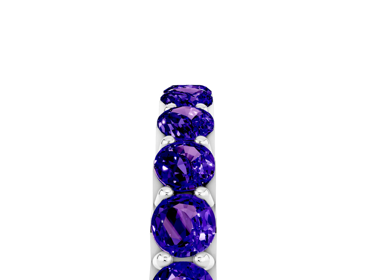 Round Tanzanite Polished Half Eternity Band in Platinum with Classic Prong Setting_5