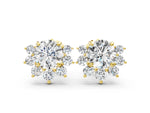Yellow gold Cluster Round Diamond Stud Earrings with White Gold Band and Four-Prong Setting
