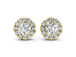 Yellow gold Round Cut Diamond Halo Stud Earrings