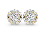 Yellow gold Round Diamond Double Halo Stud Earrings with Prong Setting