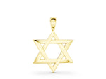 Yellow gold Silver Star of David Pendant